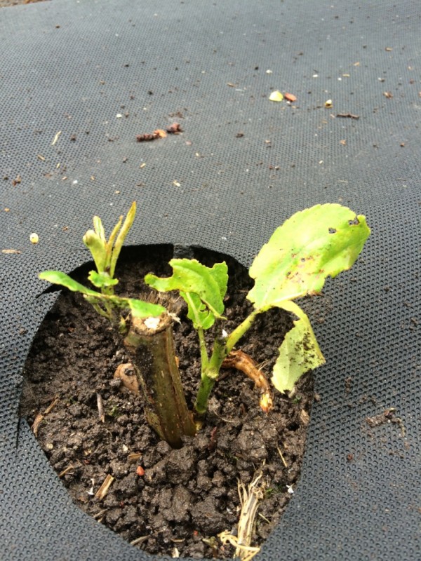 Foto 13.05.14 10 51 10.jpg