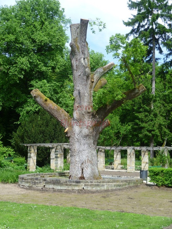 Bildla Nummära 003.jpg