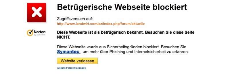Betrügerische Website.jpg