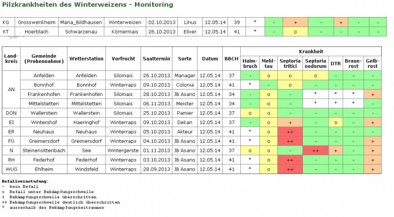 Aktueller Befall beim Weizen.JPG