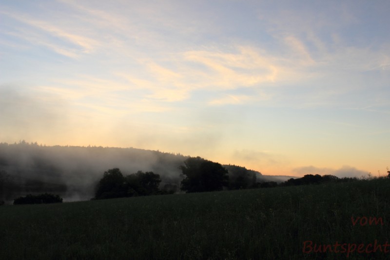 Bildla Nummära 004.jpg