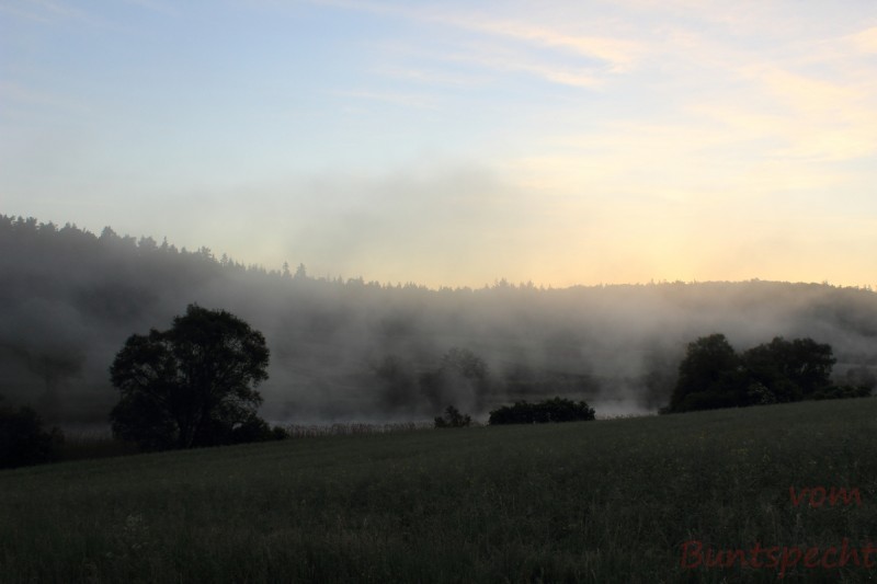 Bildla Nummära 005.jpg