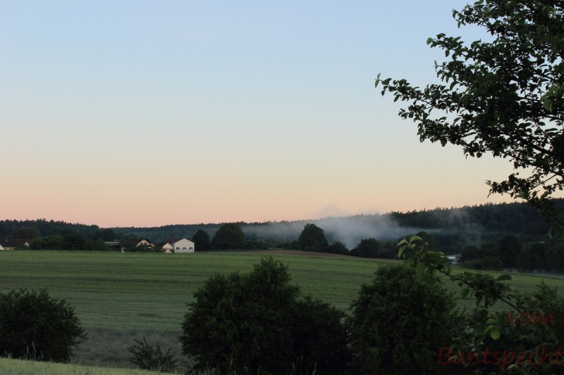 Bildla Nummära 006.jpg