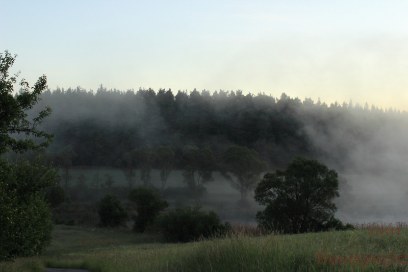 Bildla Nummära 008.jpg