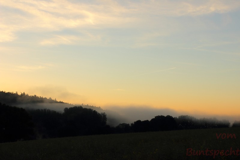 Bildla Nummära 009.jpg