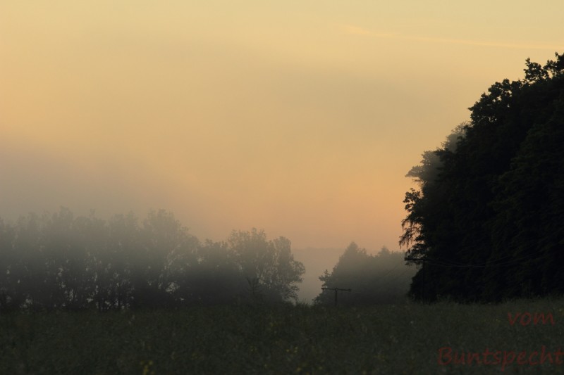 Bildla Nummära 013.jpg