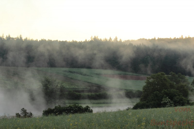 Bildla Nummära 014.jpg