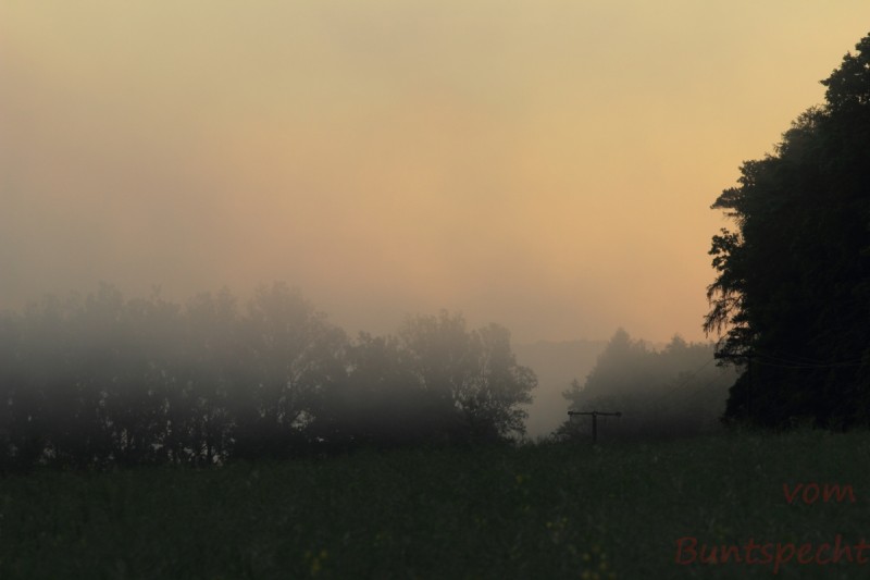 Bildla Nummära 015.jpg