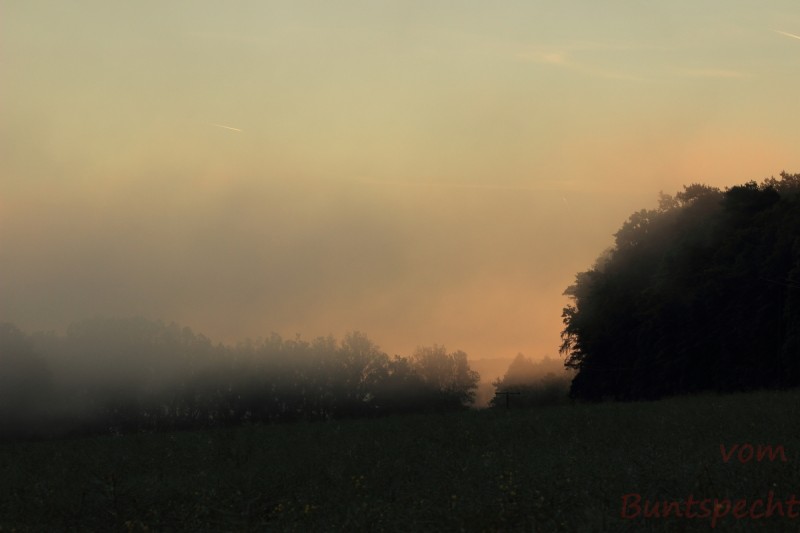 Bildla Nummära 017.jpg