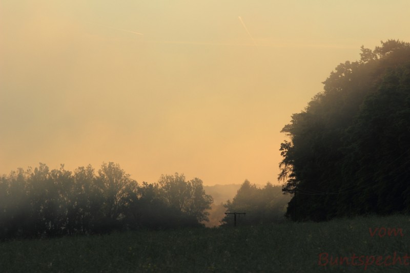 Bildla Nummära 018.jpg