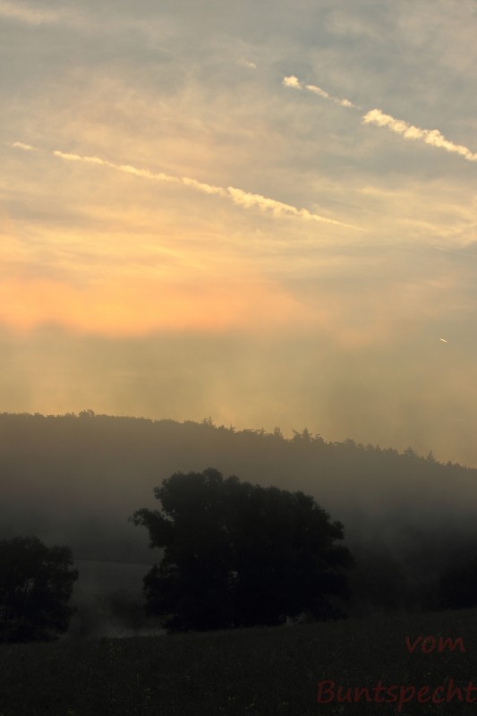 Bildla Nummära 020.jpg