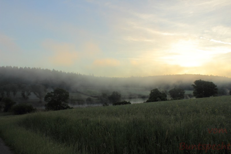 Bildla Nummära 021.jpg