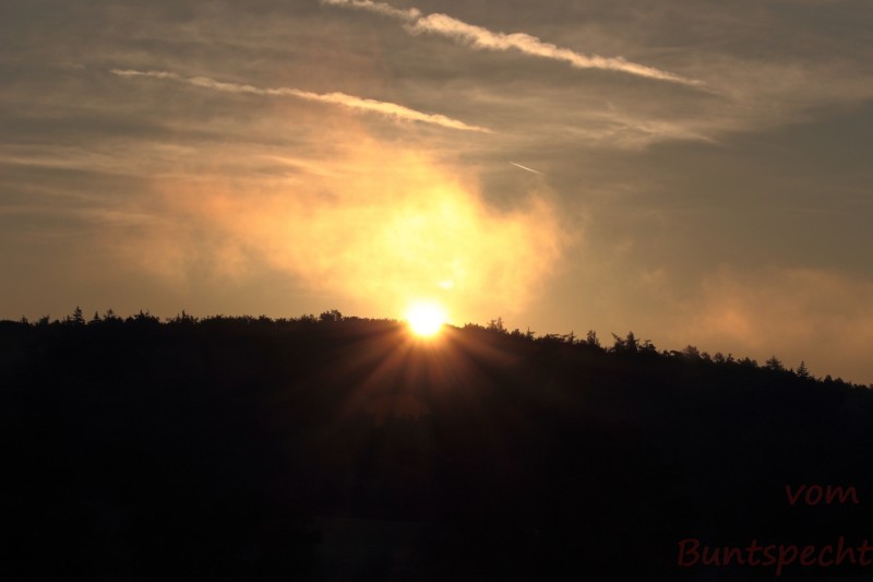 Bildla Nummära 023.jpg