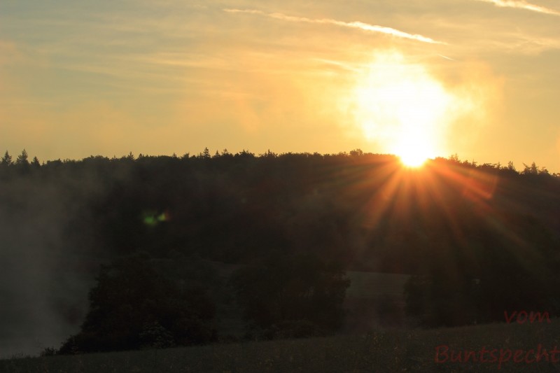 Bildla Nummära 024.jpg