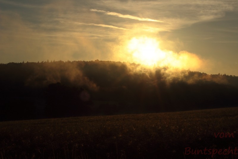 Bildla Nummära 027.jpg