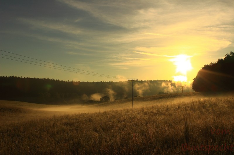 Bildla Nummära 028.jpg