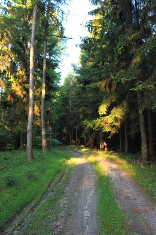 Bildla Nummära 029.jpg