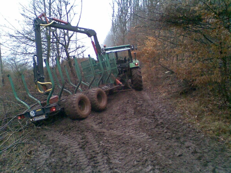 Brennholzeinschlag 09 072.jpg