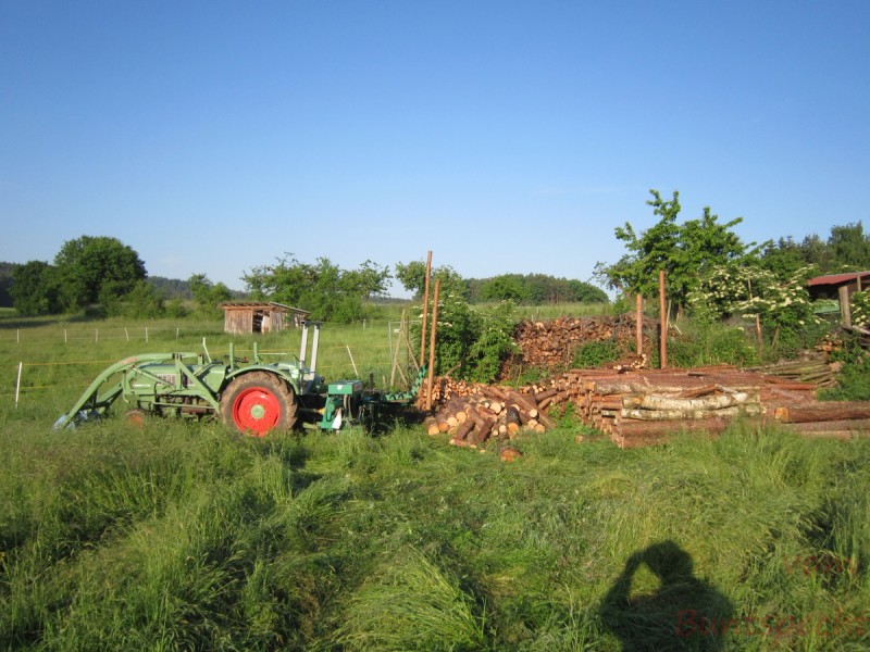 Bildla Nummära 001.jpg