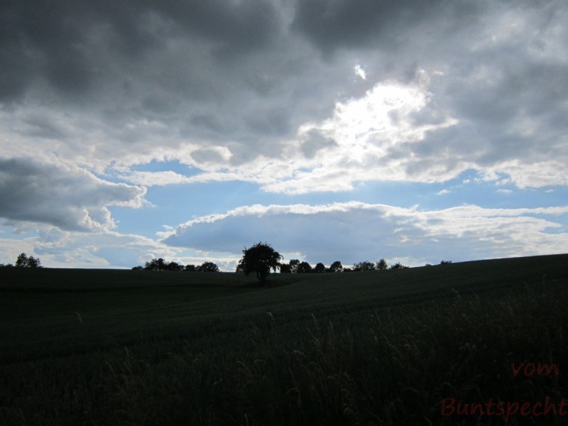 Bildla Nummära 001.jpg