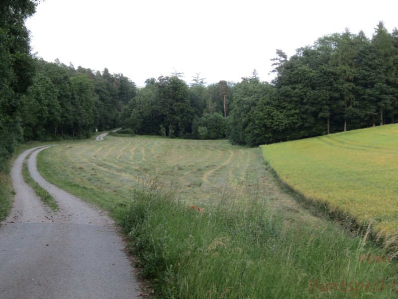 Bildla Nummära 002.jpg