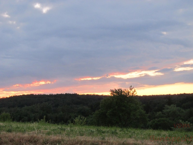 Bildla Nummära 003.jpg