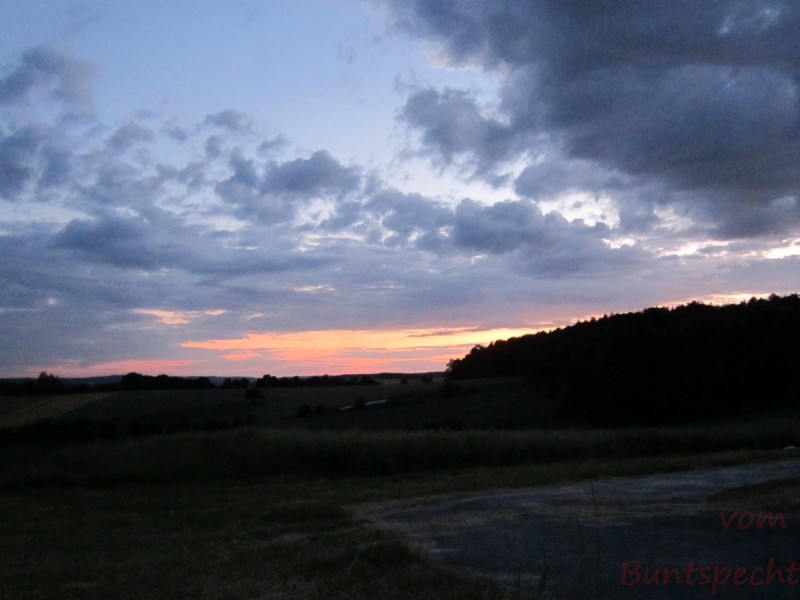 Bildla Nummära 005.jpg