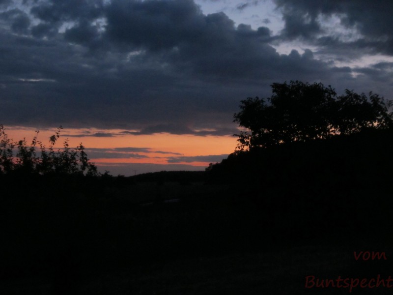 Bildla Nummära 006.jpg