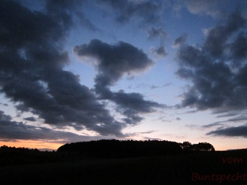 Bildla Nummära 007.jpg