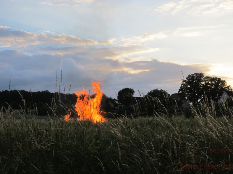 Bildla Nummära 001.jpg