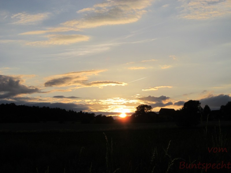 Bildla Nummära 002.jpg