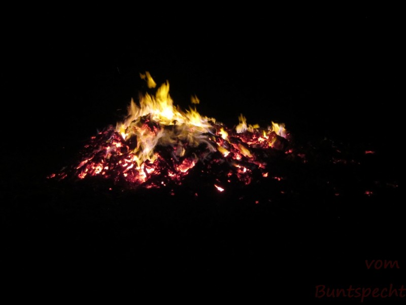 Bildla Nummära 003.jpg