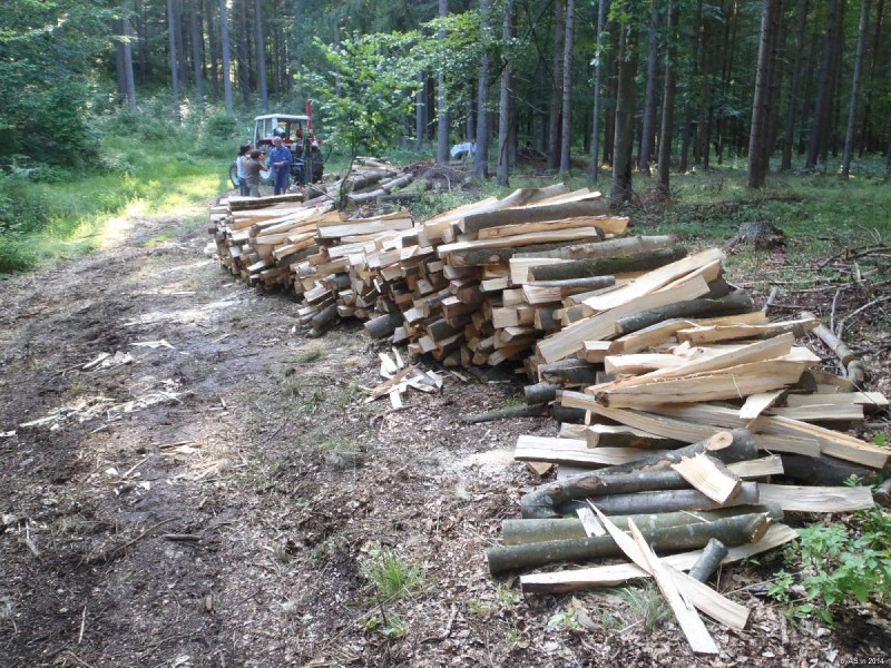 Buchenbrennholz_SB_P6270249_75.JPG