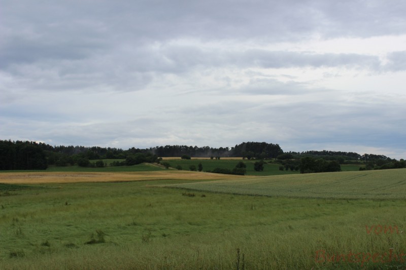 Bildla Nummära 001.jpg