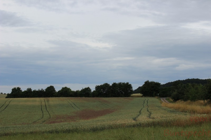 Bildla Nummära 002.jpg