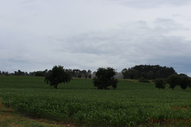 Bildla Nummära 004.jpg