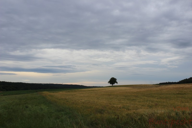 Bildla Nummära 005.jpg