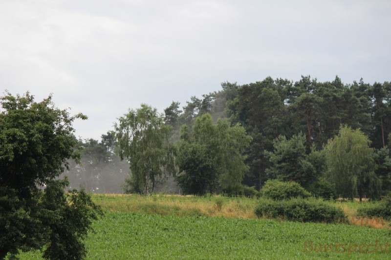 Bildla Nummära 006.jpg