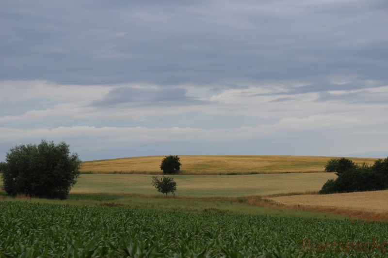 Bildla Nummära 008.jpg