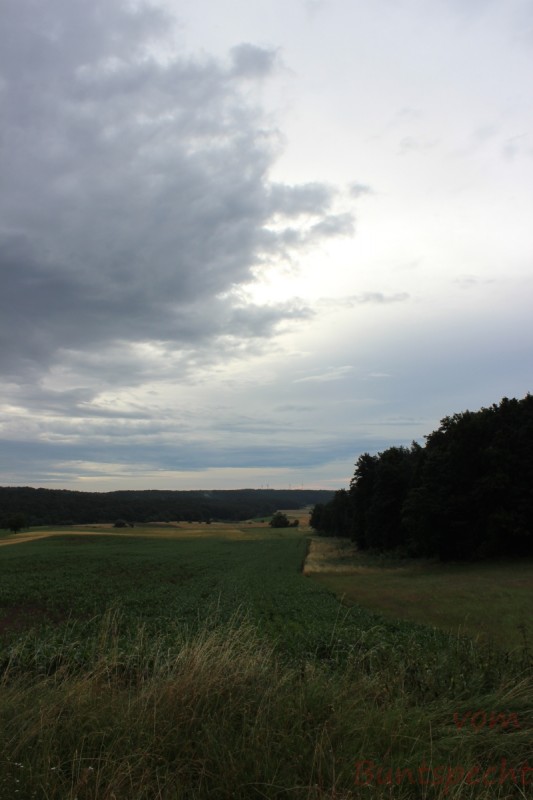 Bildla Nummära 011.jpg