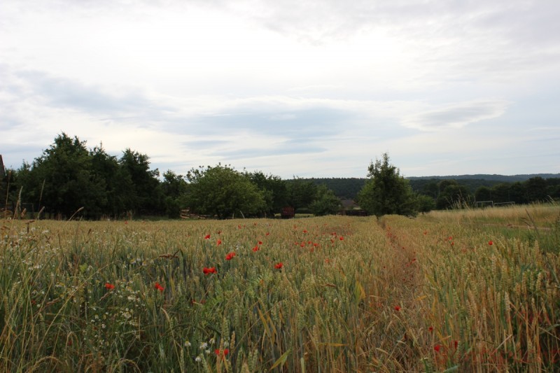 Bildla Nummära 014.jpg