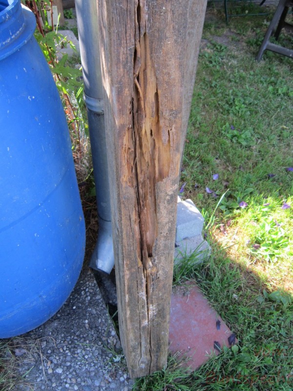 Bildla Nummära 001.jpg