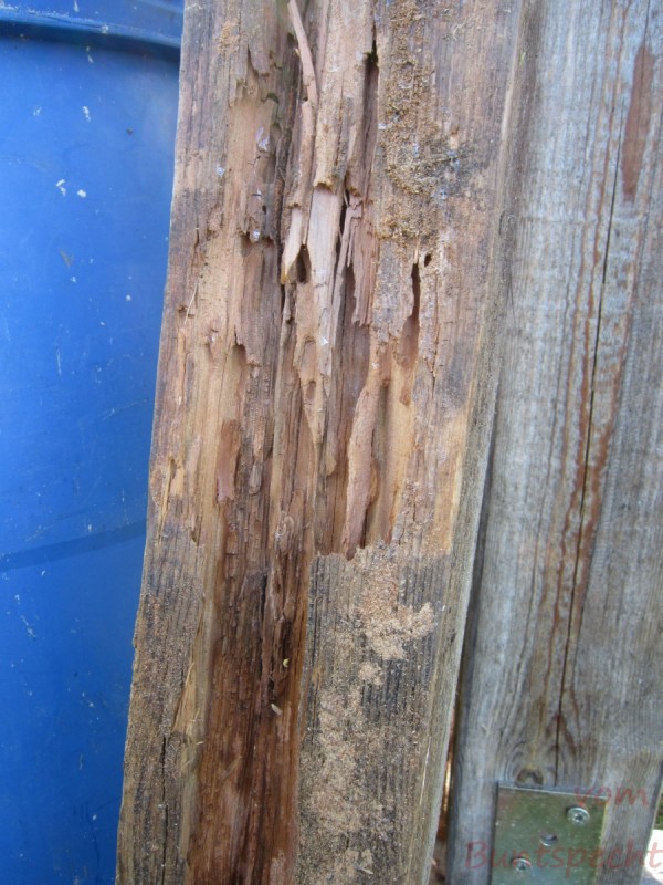 Bildla Nummära 002.jpg