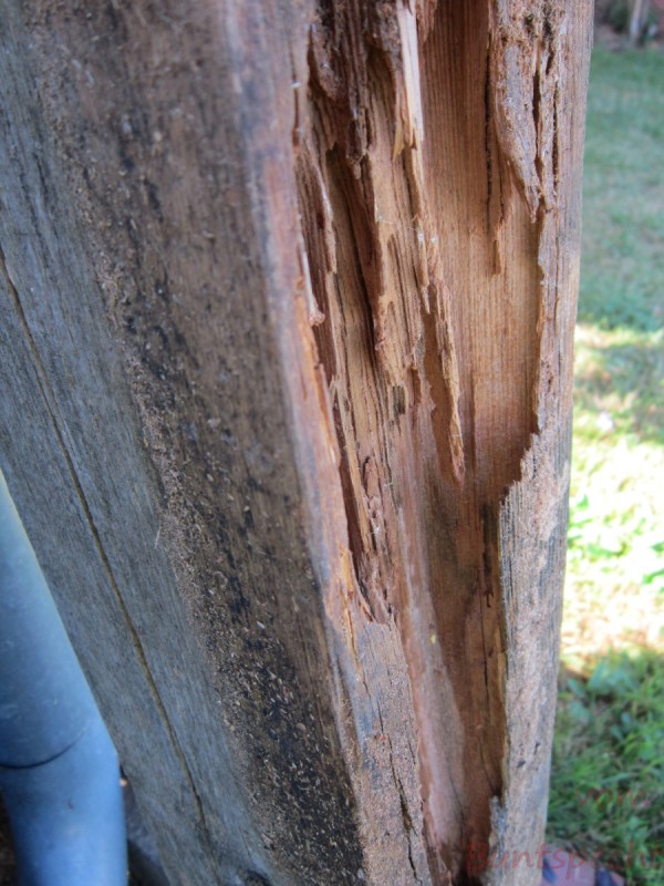 Bildla Nummära 003.jpg