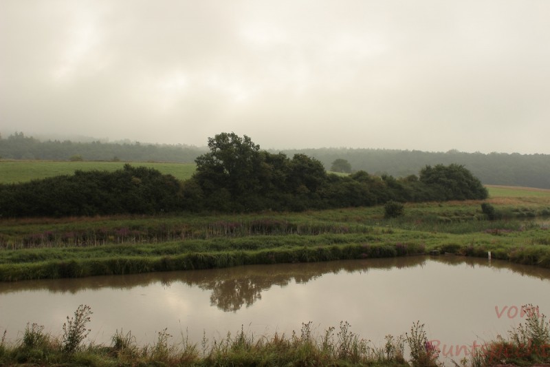 Bildla Nummära 002.jpg