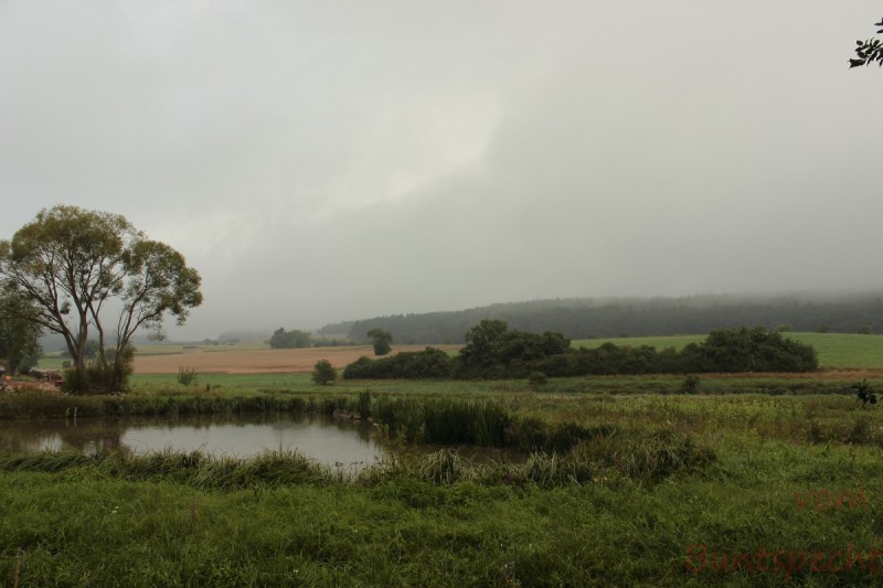 Bildla Nummära 003.jpg