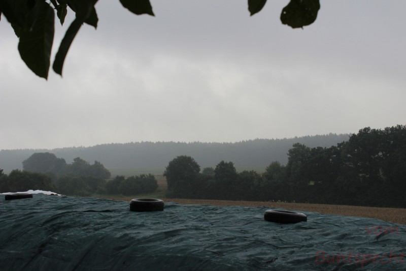 Bildla Nummära 004.jpg