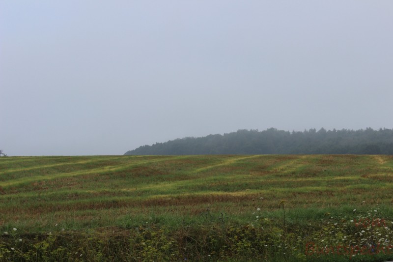 Bildla Nummära 006.jpg