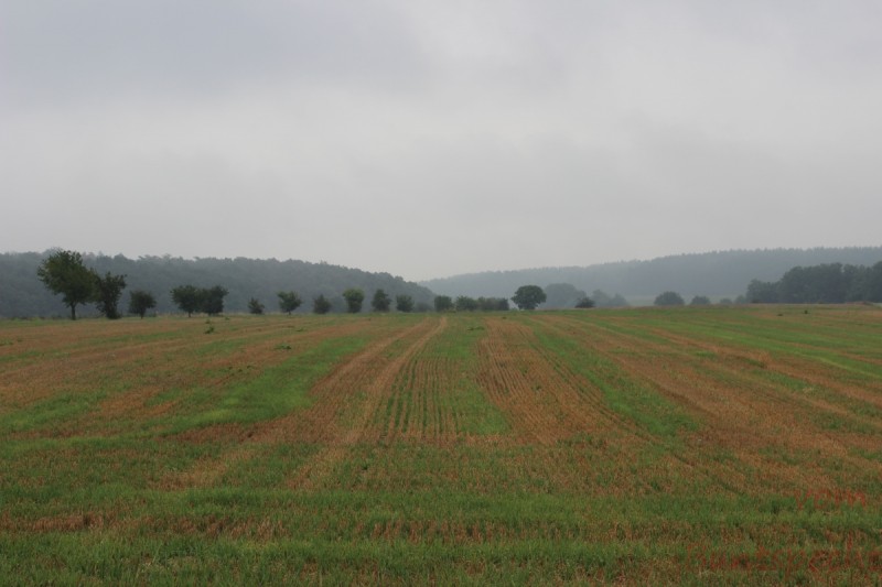 Bildla Nummära 007.jpg