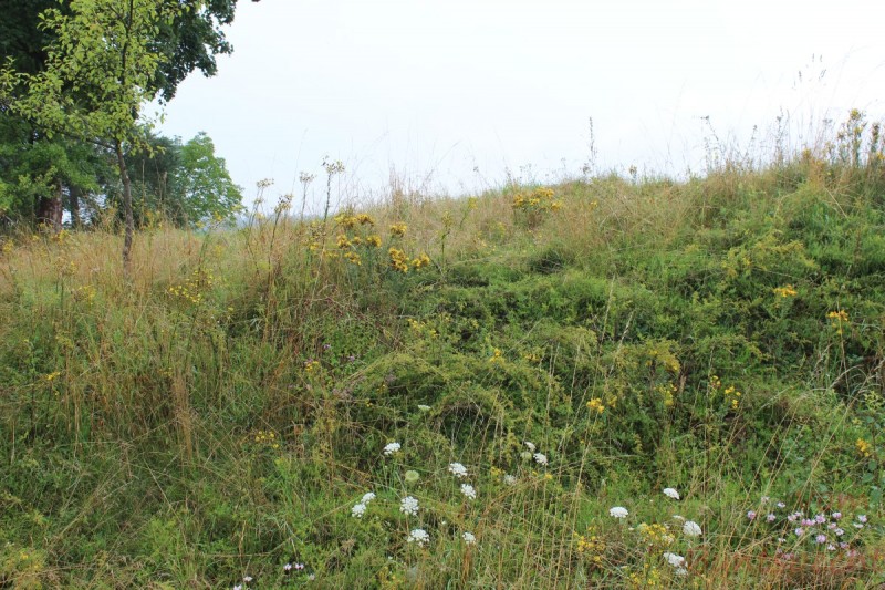 Bildla Nummära 009.jpg